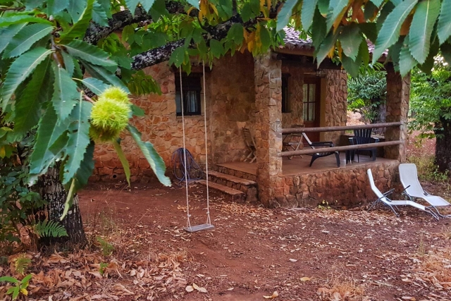 Amplio exterior con mesa 