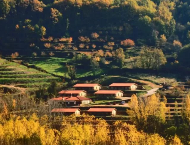 Apartamento 7