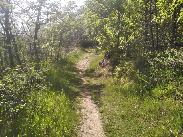 Camino de Los Molinos