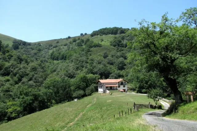 Ortxixenea