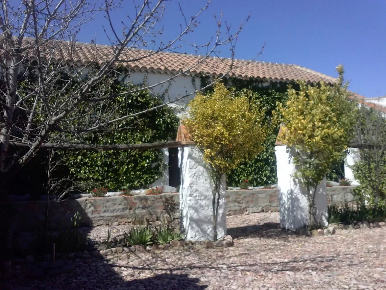 Marta Saavedra en su estacia en Cortijo Tejoneras 209_2