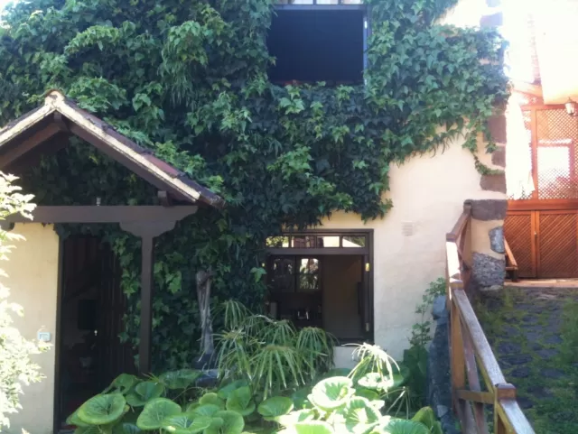 El Castaño