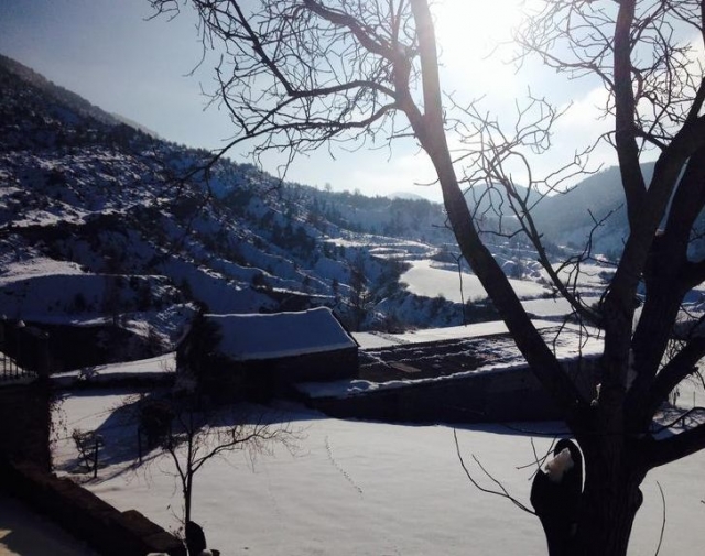 Vistas desde el interior de la casa
