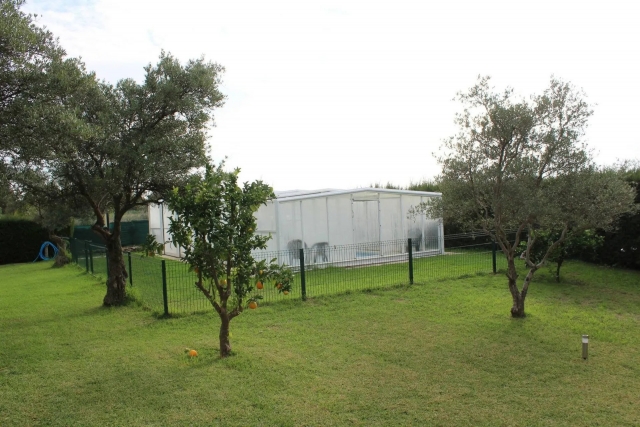 Amplia piscina cubierta