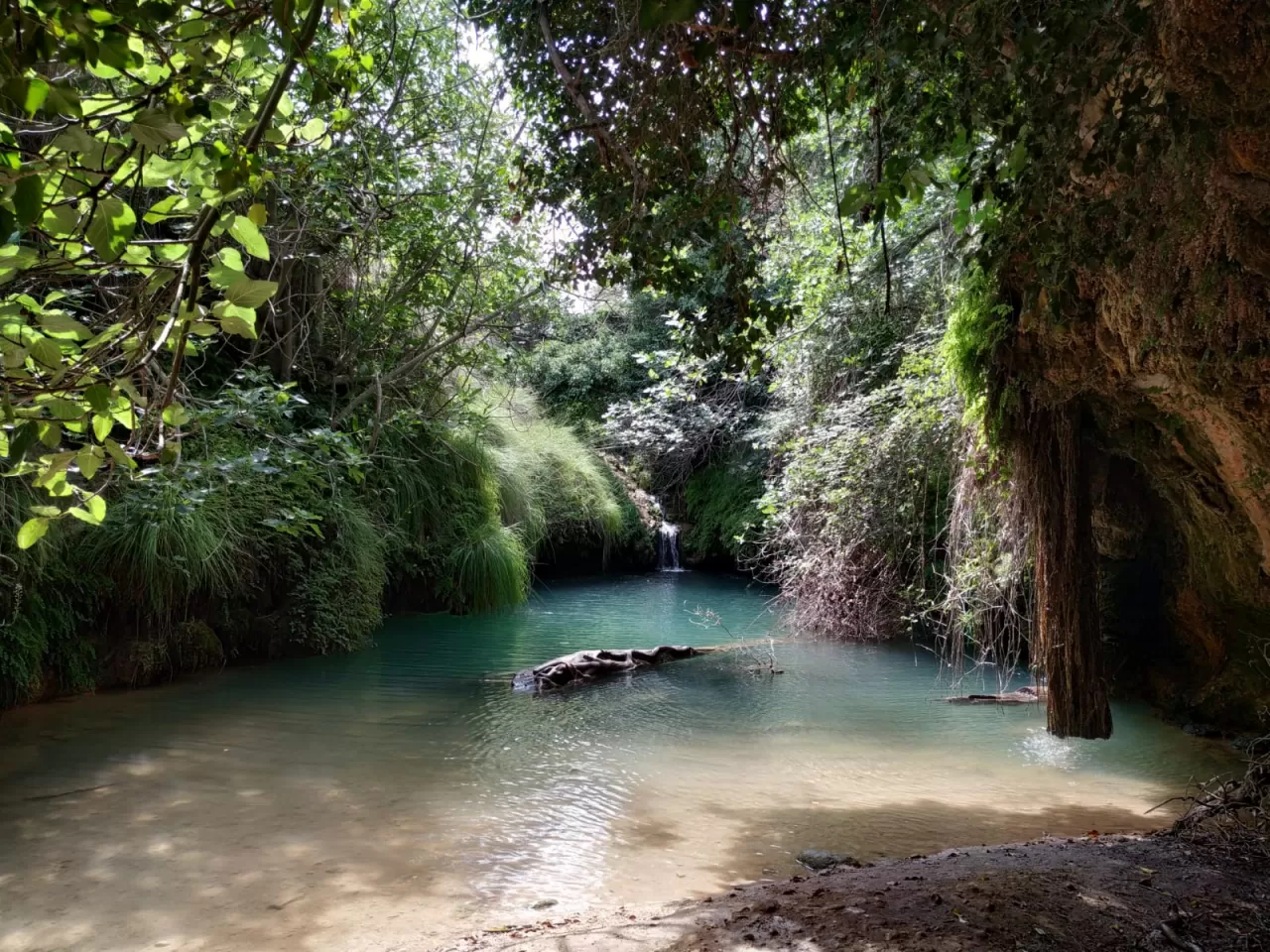 Isis Guerrero en su estacia en El Rincón de Mariel 995_1