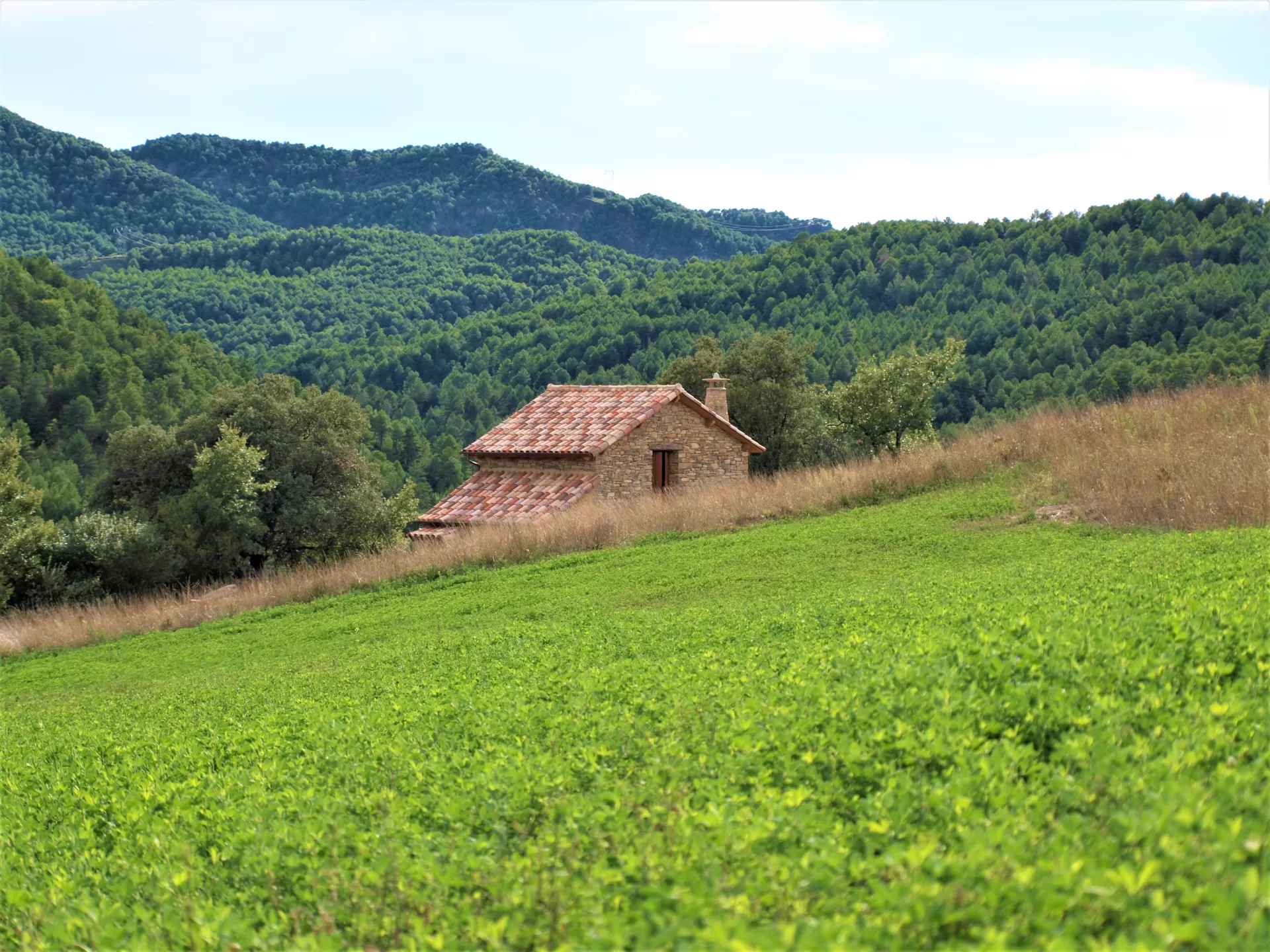 La Borda de Formigales