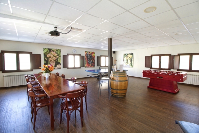 Sala de juegos 1