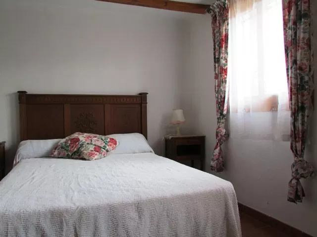 Amapola