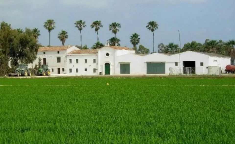 Isla de Buda
