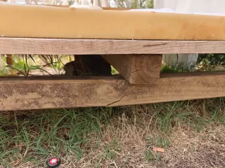 Edorta Rojí Pérez en su estacia en Finca La Vega Bul 6852_3