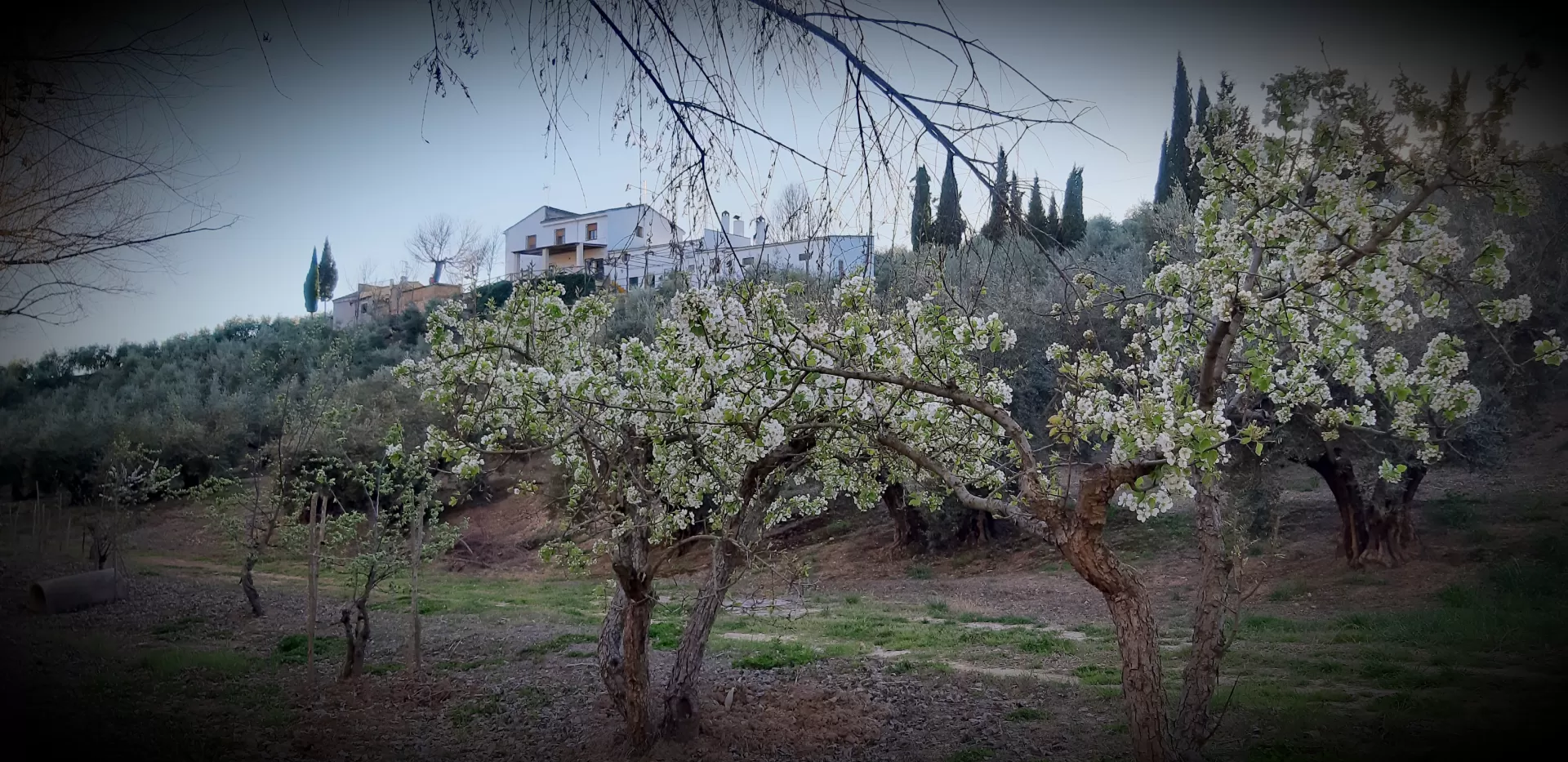 Cortijo El Capricho