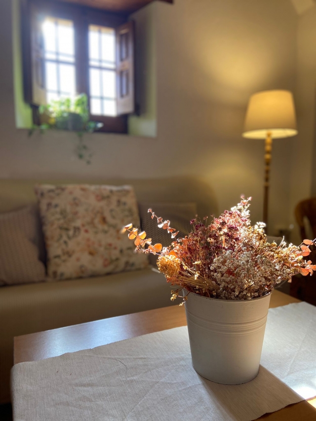 Salon y sillones