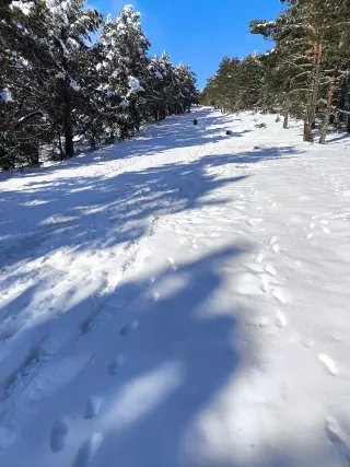 Alfonso Cañibe en su estacia en Eco Urbión 6676_1