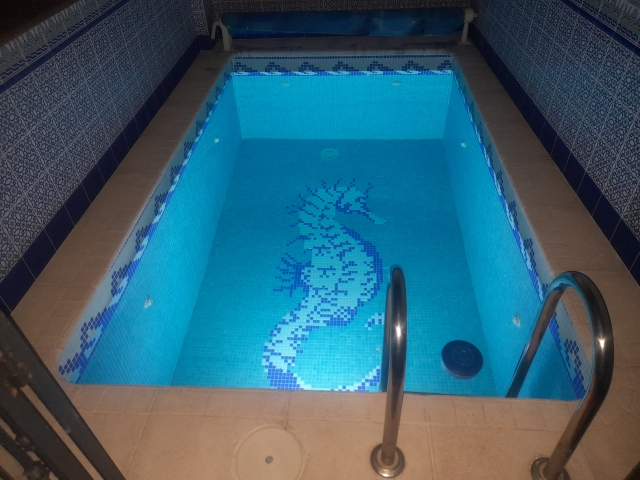  Piscine chauffee 