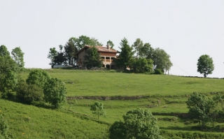 Vista parcial de las 6 hectáreas de la casa