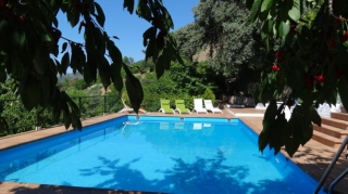 Solarium en la piscina