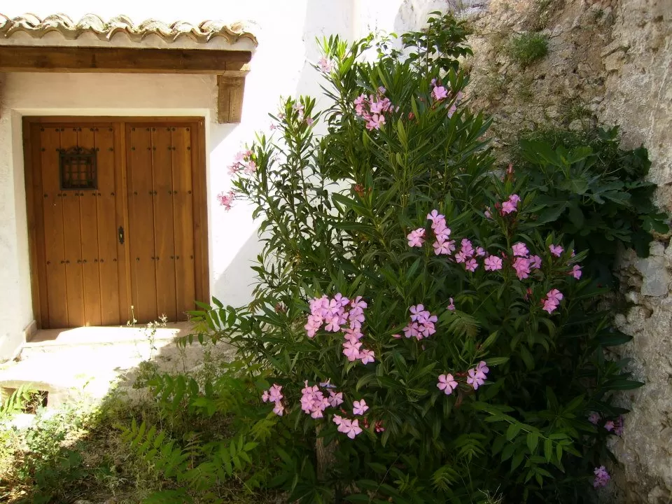 Casa Rural Molino del Cubo