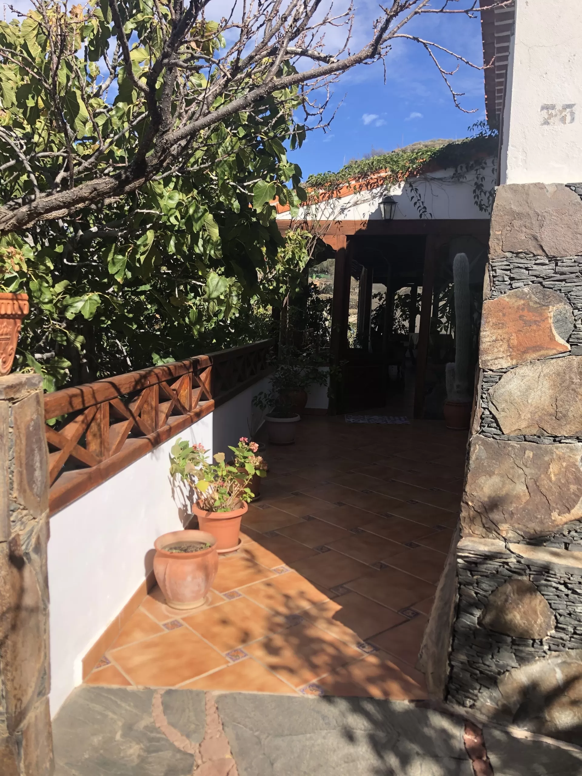 Agora oliva guerra en su estacia en Casa Cho'Pino 2385_3