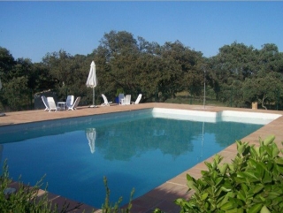 Vistas de la piscina con tumbonas