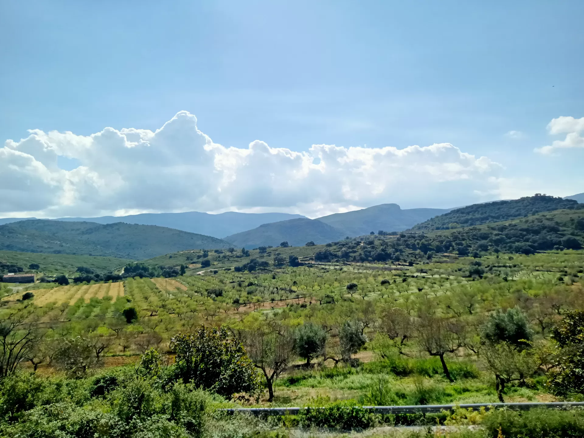 Alicia Cuenca Castellano in your stay in El Cau 2944_2