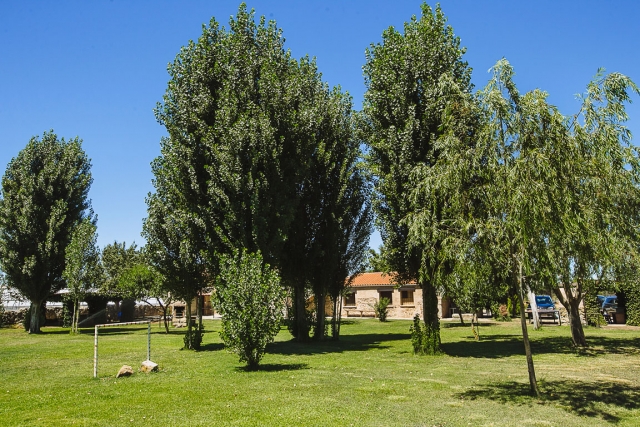 Amplios jardines y arboles 