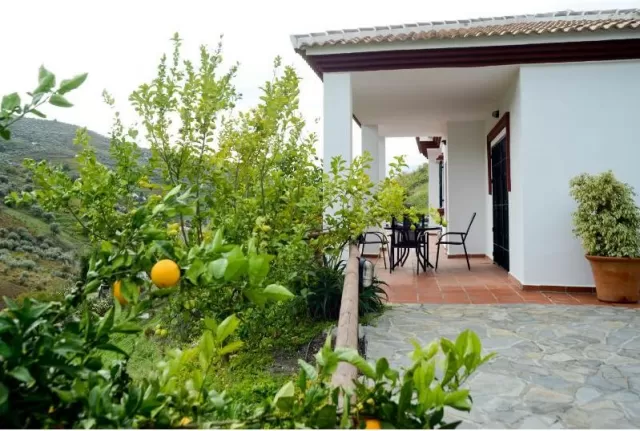 Casa Amelia (Cómpeta)