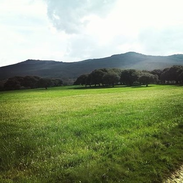 Paisaje junto a la casa rural
