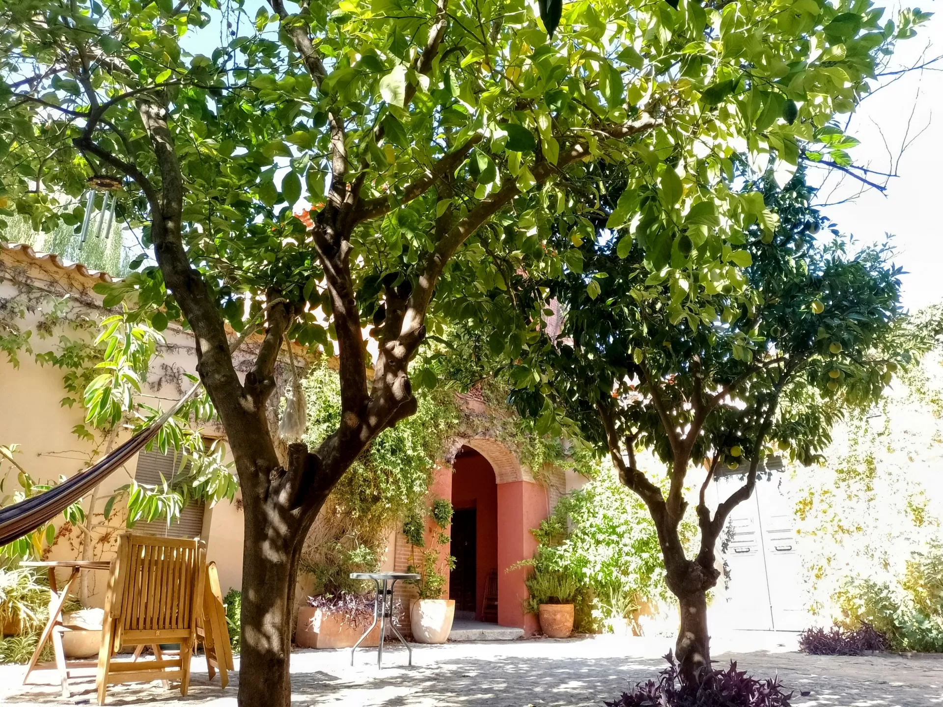 S Vilkuna en su estacia en Finca Villa Juan 5259_3