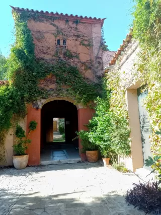S Vilkuna dans son séjour à Finca Villa Juan 5259_6