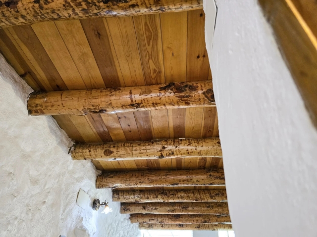 Techos con vigas de madera
