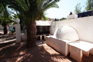 Barbacoa y una palmera