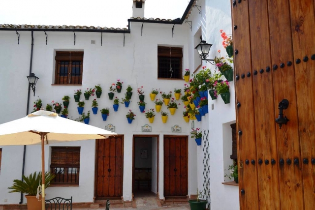 Jarrones amarillos y azules en las paredes del patio