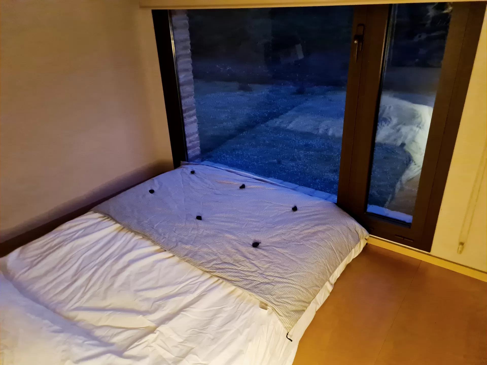 INES FUENTES PEREZ en su estacia en Apartamento La Pallissa - Can Bonet 2887_1