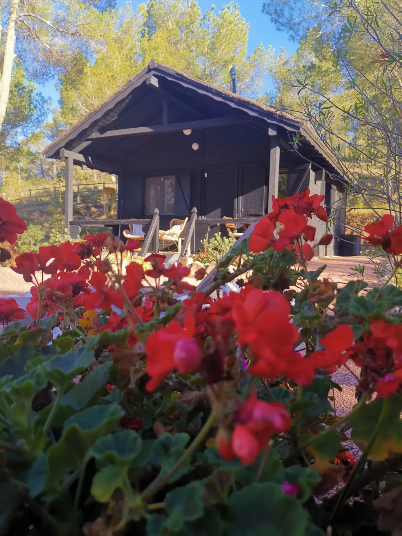 Mélani Copoví Salazar in your stay in Cabaña Camino Viejo 5927_1