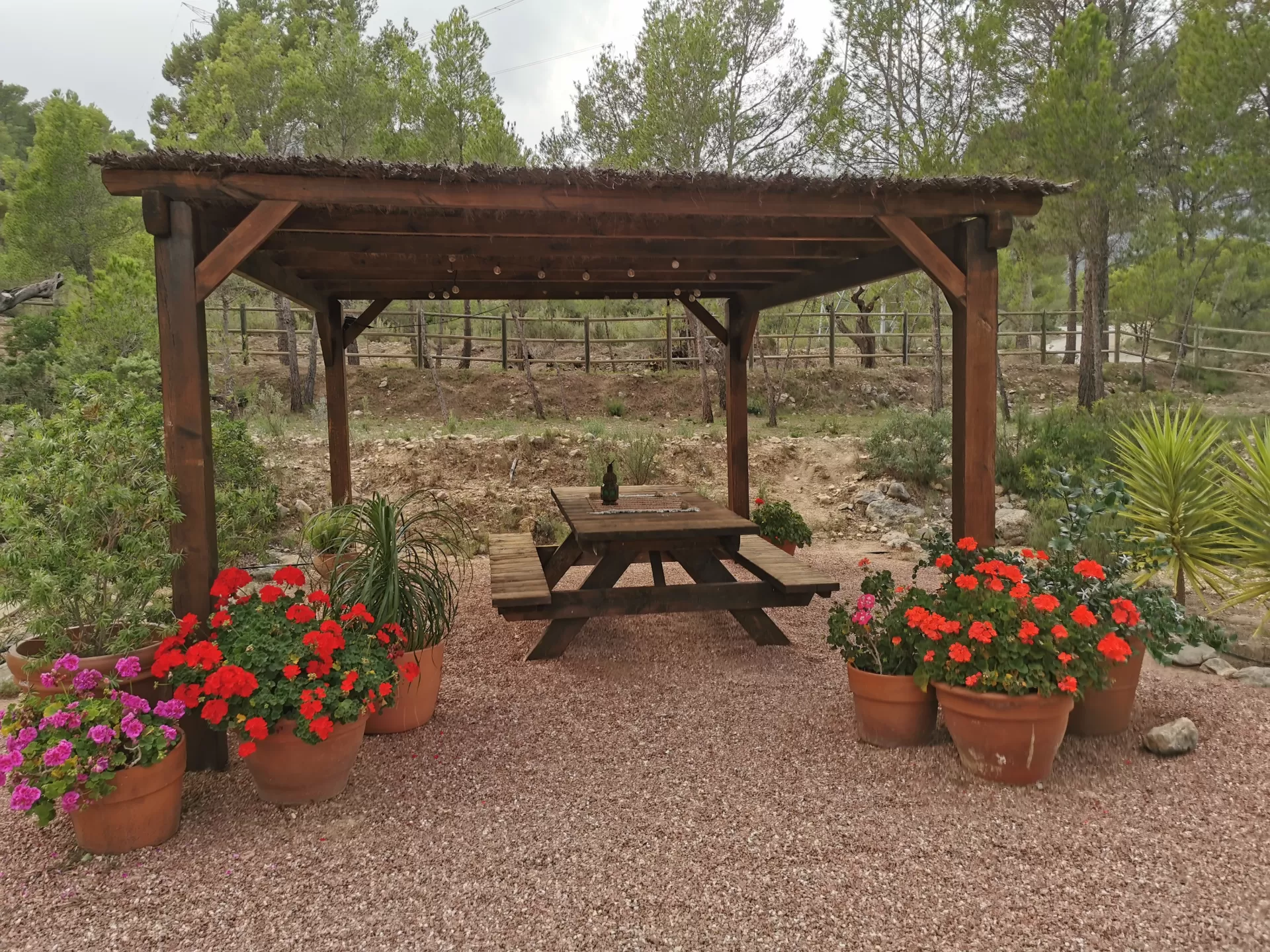 Maria Teresa Bou Llorens  in your stay in Cabaña Camino Viejo 4045_6
