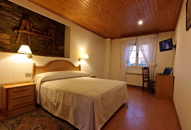Double room for single use