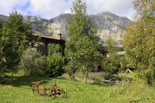 Jardines llenos de vegetación