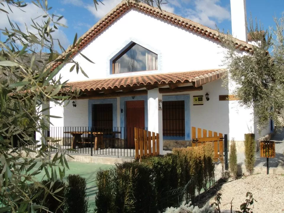 Picual - Yeste Rural