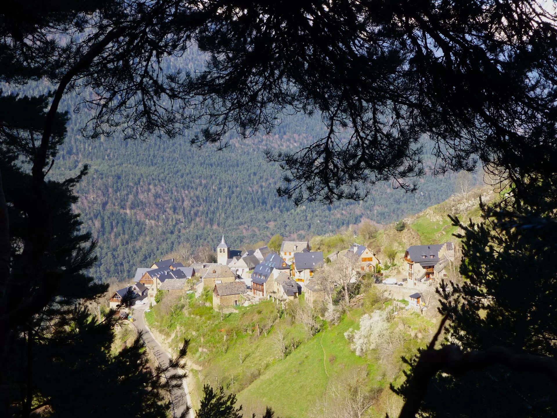 Casa Puig