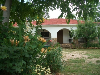 Entrada con muchas plantas