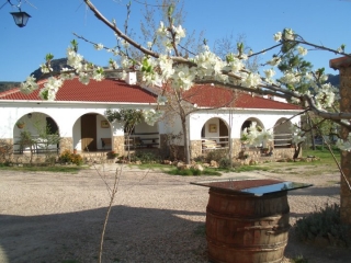 Exterior con mesa de barril