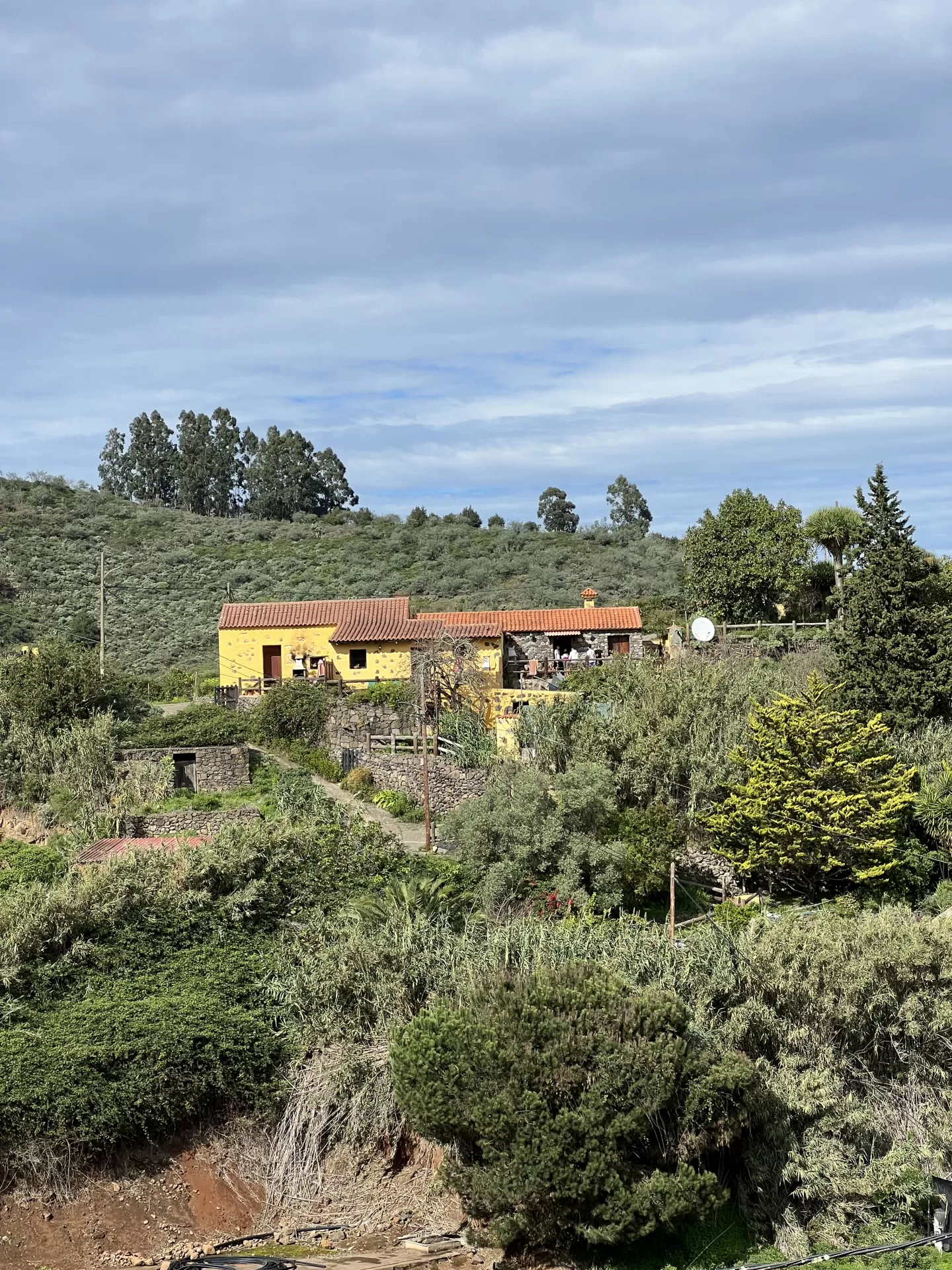 Tesara  en su estacia en Casa El Castañar 3558_2