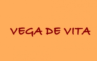 Logo Vega de Vita