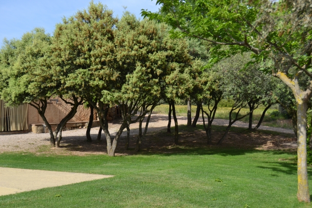 Vistas de los jardines