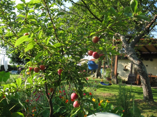 Árboles frutales con zona de columpios