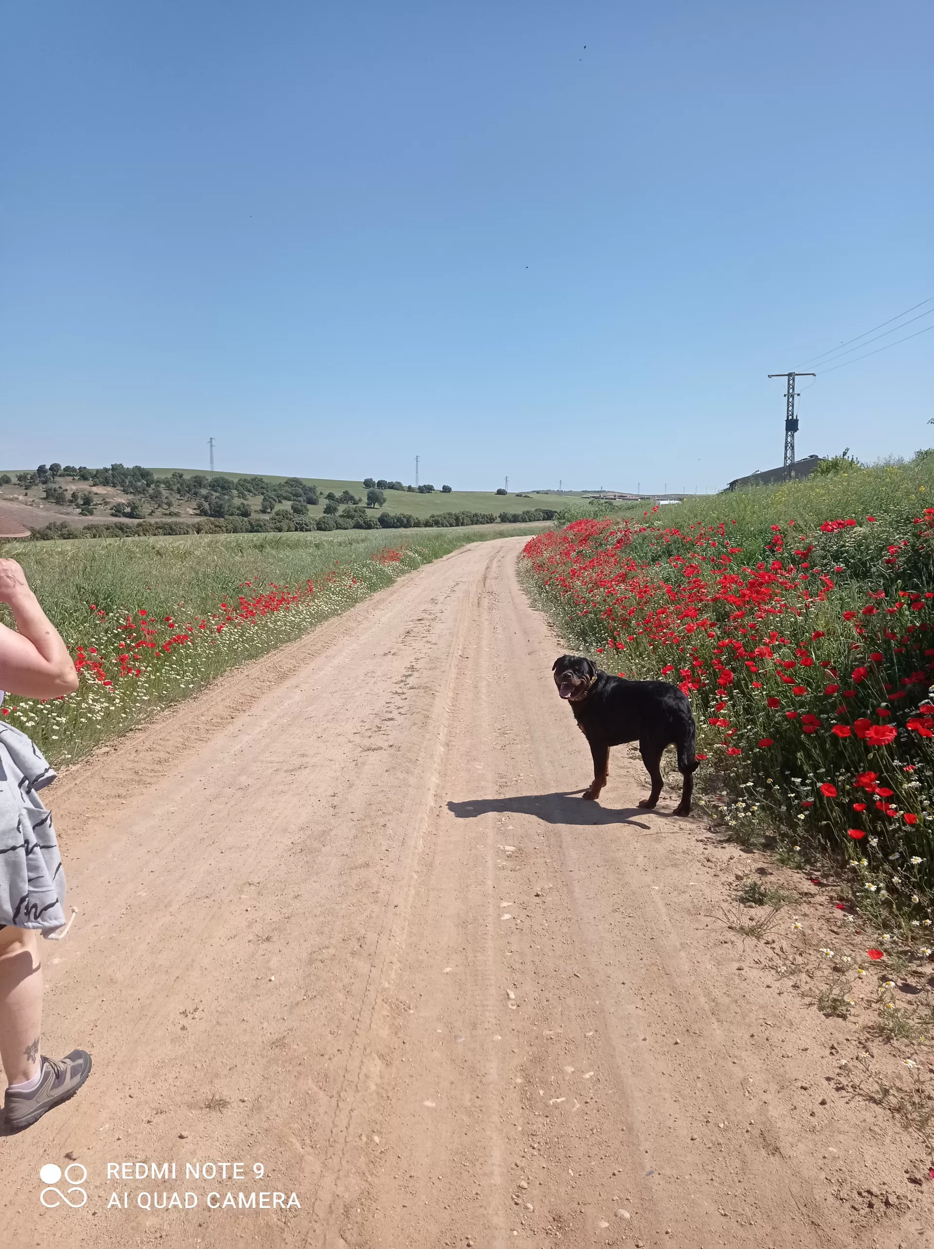 Sonia Pajuelo caballero en su estacia en Vistas de Castilla 2579_1