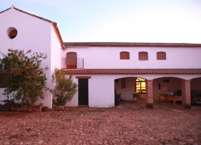 Molina de Mesias-Olivo