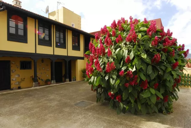 Finca El Paso I