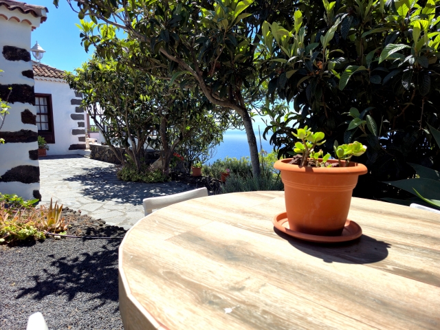 jardin