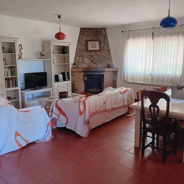 Salon y chimenea